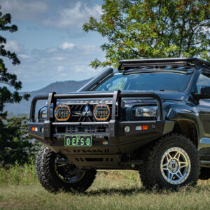 EFS STOCKMAN BULLBAR | SB1-MITS-05
